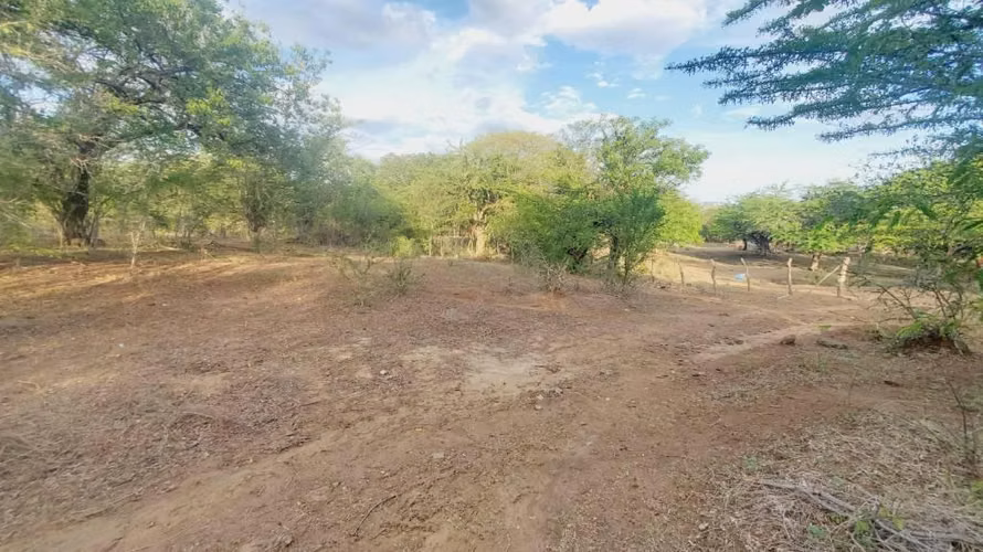 SE VENDE FINCA GANADERA CARRETERA PONELOYA