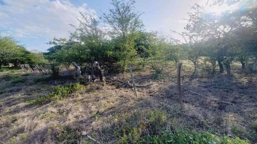SE VENDE FINCA GANADERA CARRETERA PONELOYA