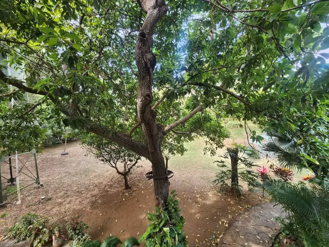 KW - Venta, linda casa en Carretera Sur - Imagen 9