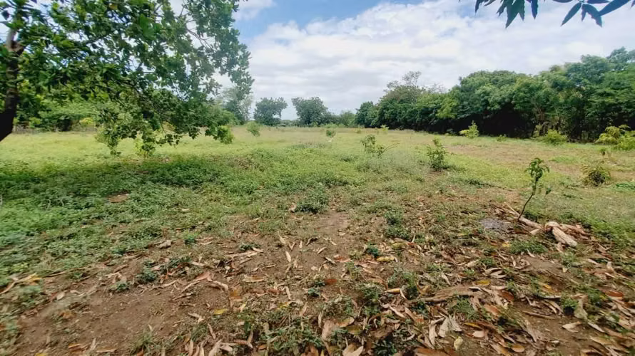 SE VENDE PROPIEDAD EN SECTOR SUR ESTE DE LEON - Imagen 6