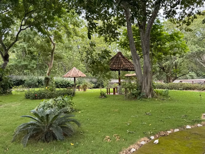 Preciosa Quinta de 5Mz en Veracruz - Imagen 2