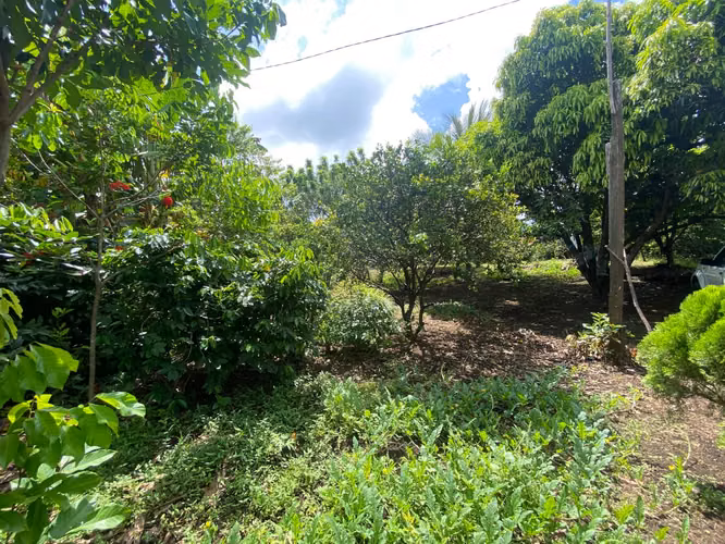 Venta de Terreno en Carretera a Masaya - Imagen 11