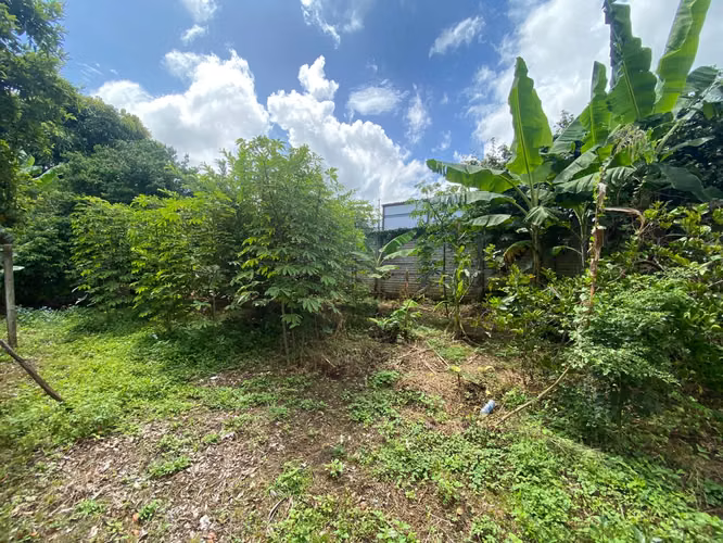 Venta de Terreno en Carretera a Masaya - Imagen 12
