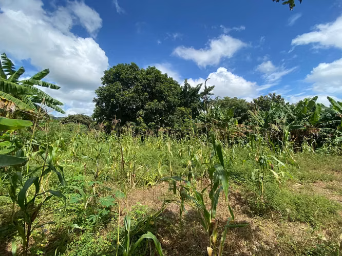 Venta de Terreno en Carretera a Masaya - Imagen 17