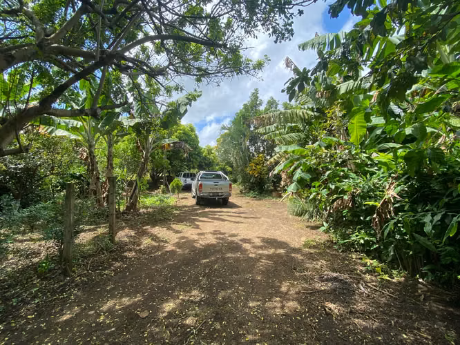 Venta de Terreno en Carretera a Masaya - Imagen 3