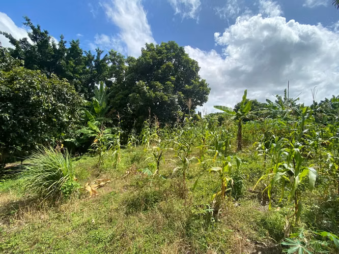 Venta de Terreno en Carretera a Masaya - Imagen 13