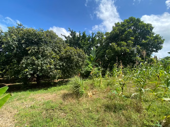 Venta de Terreno en Carretera a Masaya - Imagen 6