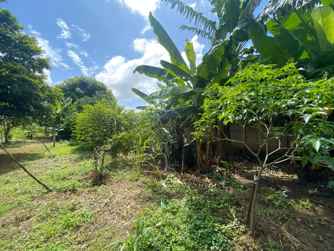 Venta de Terreno en Carretera a Masaya - Imagen 14