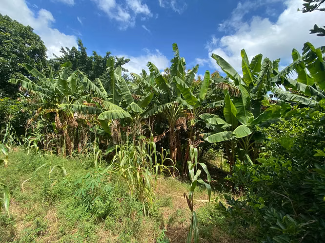 Venta de Terreno en Carretera a Masaya - Imagen 9