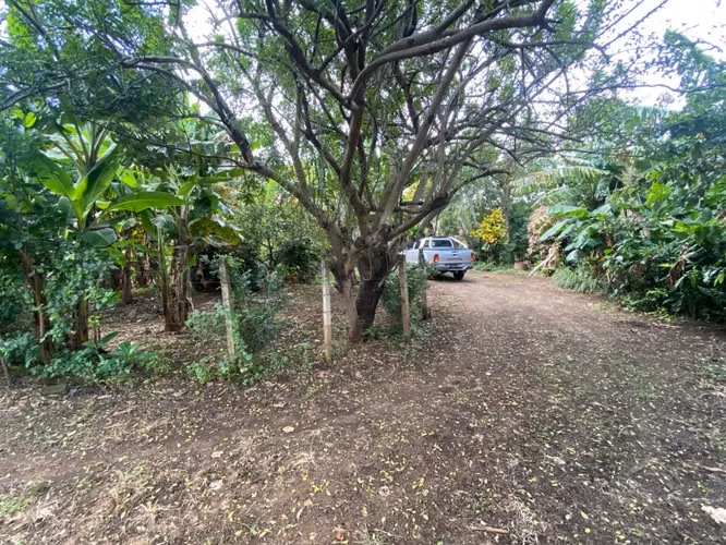 Venta de Terreno en Carretera a Masaya - Imagen 2