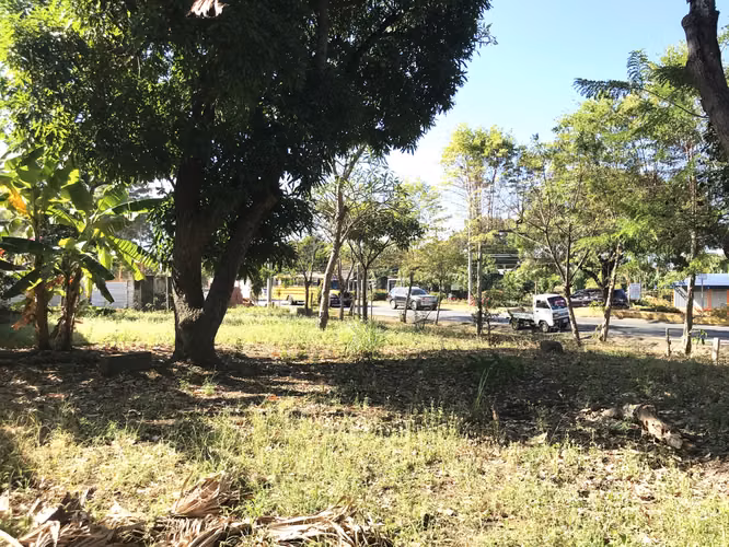 Venta de Terreno en Carretera a Masaya - Imagen 15