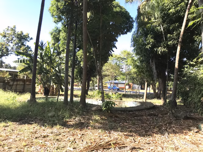 Venta de Terreno en Carretera a Masaya - Imagen 5