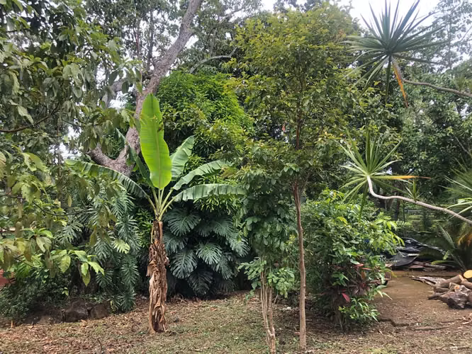 Venta de Terreno en Carretera a Masaya - Imagen 17