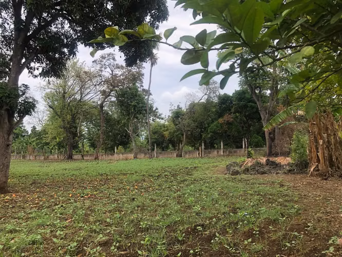 Venta de Terreno en Carretera a Masaya - Imagen 19