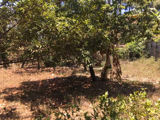 Venta de Terreno en Carretera a Masaya - Imagen 8