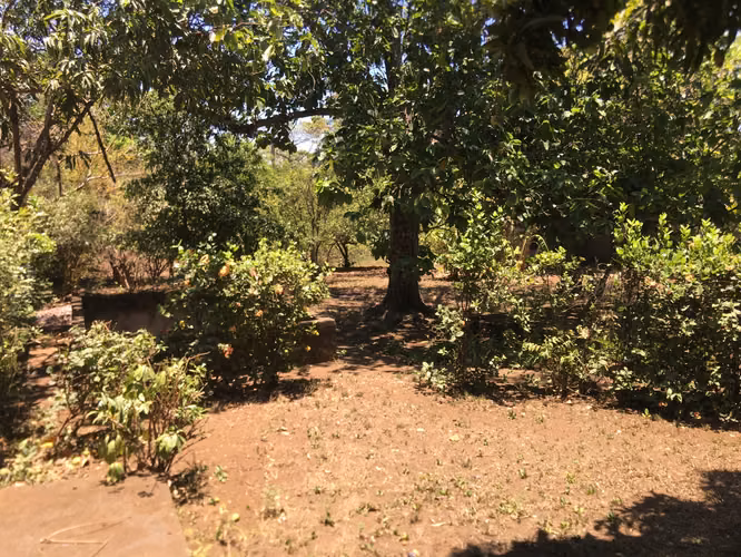 Venta de Terreno en Carretera a Masaya - Imagen 17