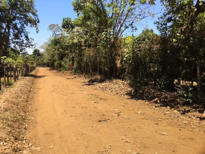 Venta de Terreno en Carretera a Masaya - Imagen 4