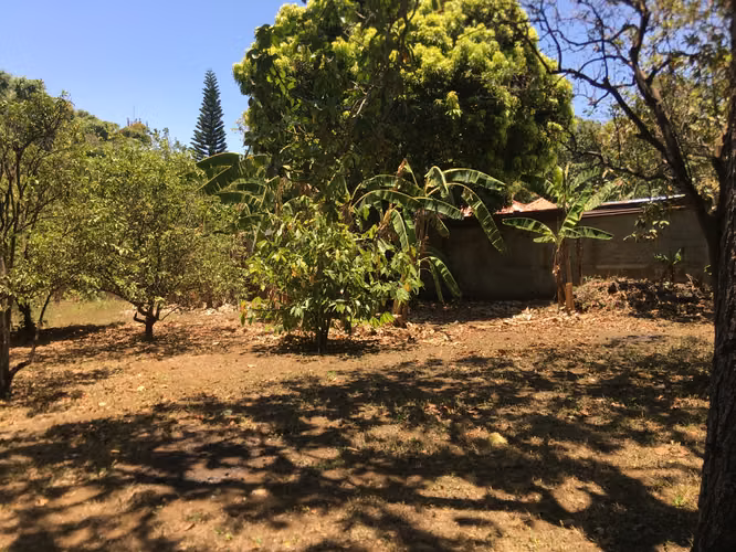 Venta de Terreno en Carretera a Masaya - Imagen 3