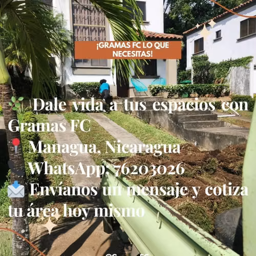 Venta de Grama Soyza y San Agustín a muy buen precio por metro cuadrado