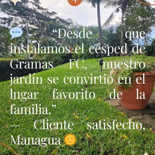 Venta de Grama Soyza y San Agustín a muy buen precio por metro cuadrado