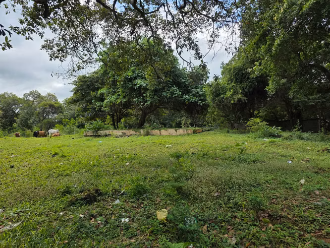 AG, SE VENDE 5 MANZANAS DE TERRENO EN SANTO DOMINGO - Imagen 15