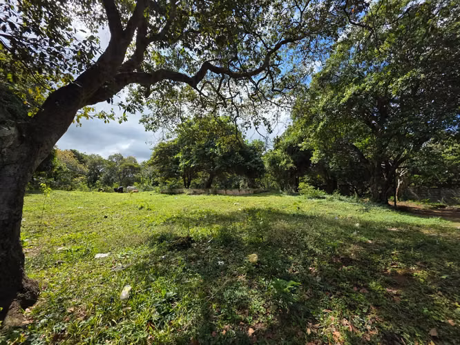 AG, SE VENDE 5 MANZANAS DE TERRENO EN SANTO DOMINGO - Imagen 13