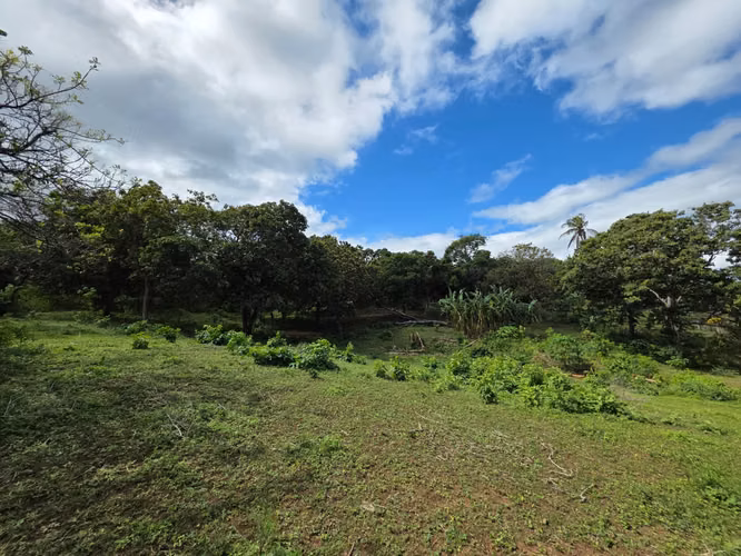AG, SE VENDE 5 MANZANAS DE TERRENO EN SANTO DOMINGO - Imagen 14