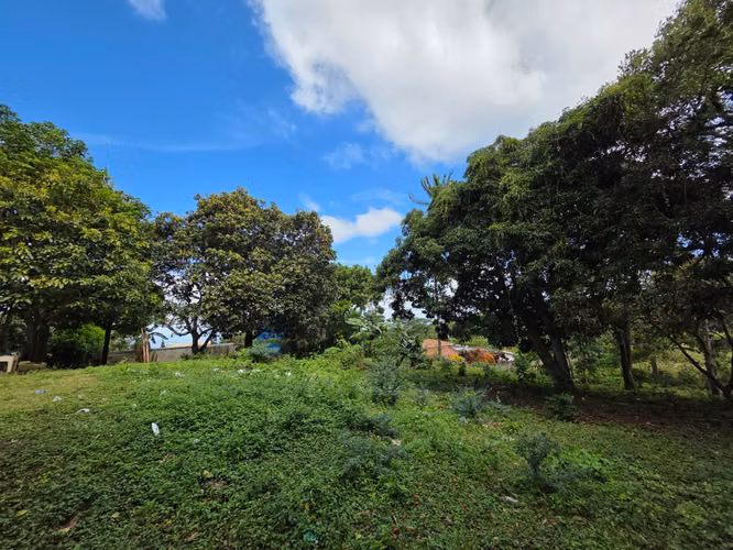AG, SE VENDE 5 MANZANAS DE TERRENO EN SANTO DOMINGO - Imagen 11