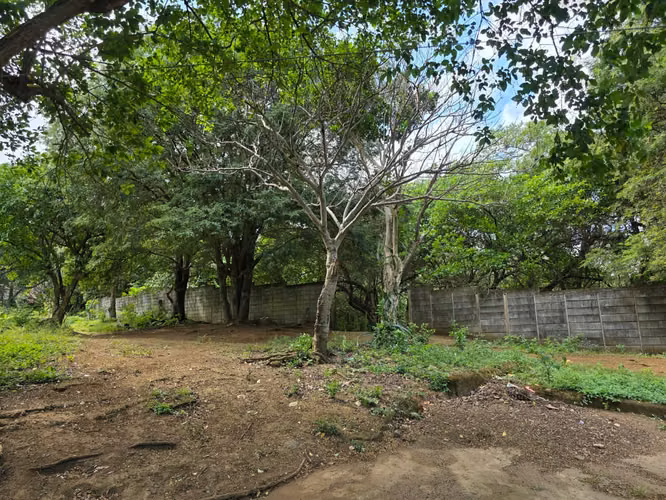 AG, SE VENDE 5 MANZANAS DE TERRENO EN SANTO DOMINGO - Imagen 8