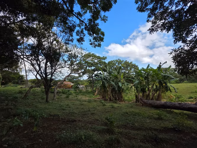 AG, SE VENDE 5 MANZANAS DE TERRENO EN SANTO DOMINGO - Imagen 3