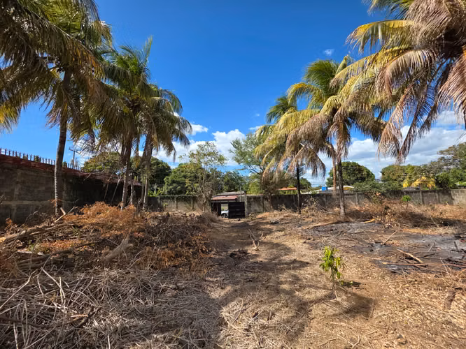 AG. SE VENDE 1.2 MANZANAS DE TERRENO EN SANTO DOMINGO - Imagen 18