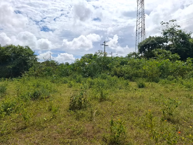 GG - Venta, terreno de 7000 Vrs2 en Altos de Santo Domingo. - Imagen 7