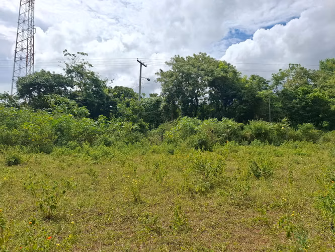 GG - Venta, terreno de 7000 Vrs2 en Altos de Santo Domingo. - Imagen 8