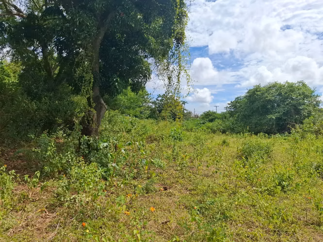 GG - Venta, terreno de 7000 Vrs2 en Altos de Santo Domingo. - Imagen 6