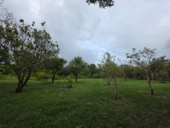 AG. SE VENDE TERRENO EN NINDIRI SECROT DE LOS BRENES - Imagen 14
