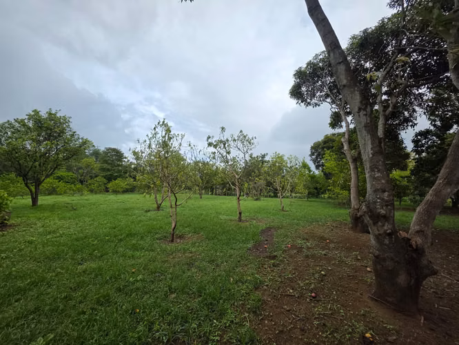 AG. SE VENDE TERRENO EN NINDIRI SECROT DE LOS BRENES - Imagen 13