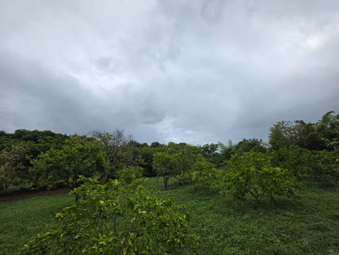 AG. SE VENDE TERRENO EN NINDIRI SECROT DE LOS BRENES - Imagen 7