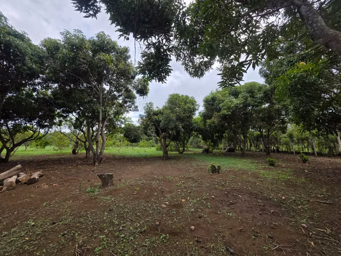 AG. SE VENDE TERRENO EN NINDIRI SECROT DE LOS BRENES - Imagen 12