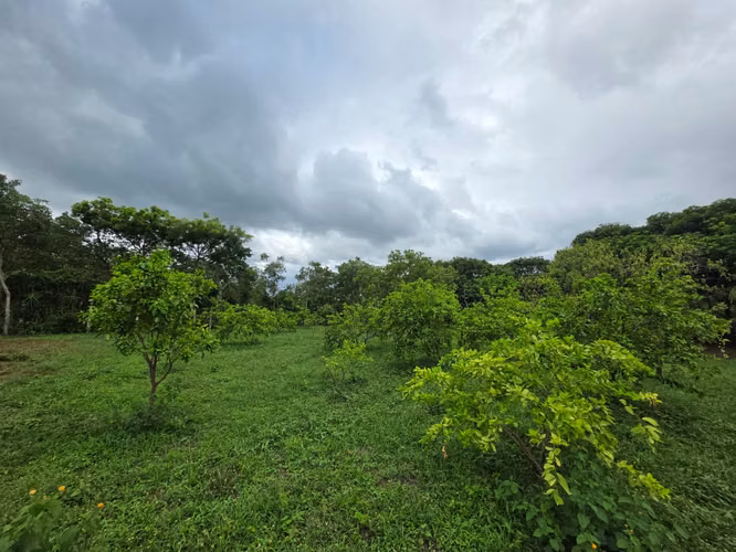 AG. SE VENDE TERRENO EN NINDIRI SECROT DE LOS BRENES - Imagen 10