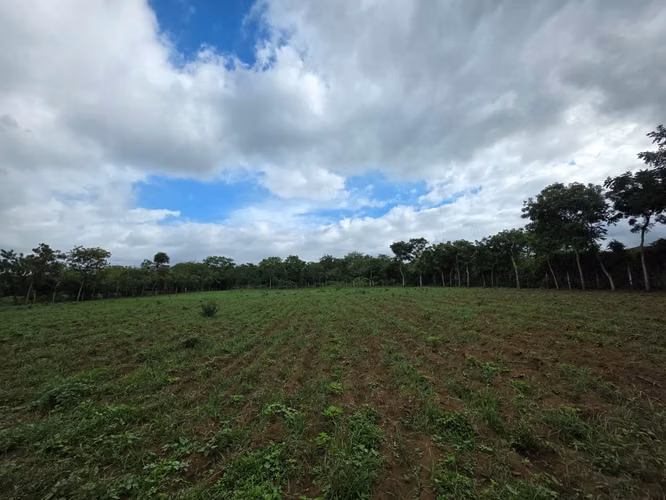 AG. SE VENDE TERRENO EN NINDIRI SECROT DE LOS BRENES - Imagen 8