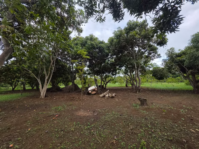 AG. SE VENDE TERRENO EN NINDIRI SECROT DE LOS BRENES