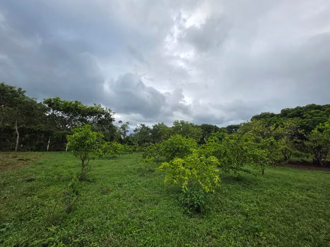 AG. SE VENDE TERRENO EN NINDIRI SECROT DE LOS BRENES - Imagen 15