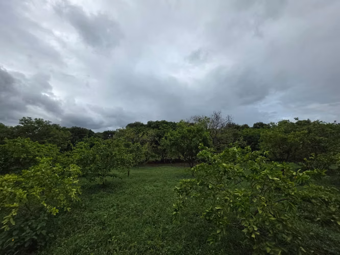 AG. SE VENDE TERRENO EN NINDIRI SECROT DE LOS BRENES - Imagen 2