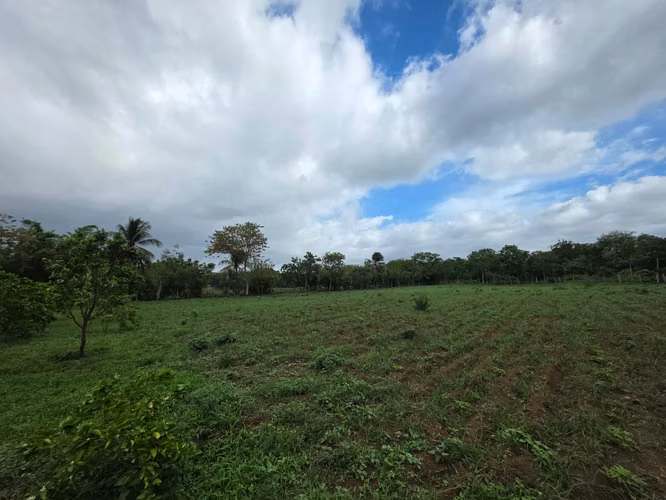 AG. SE VENDE TERRENO EN NINDIRI SECROT DE LOS BRENES - Imagen 11