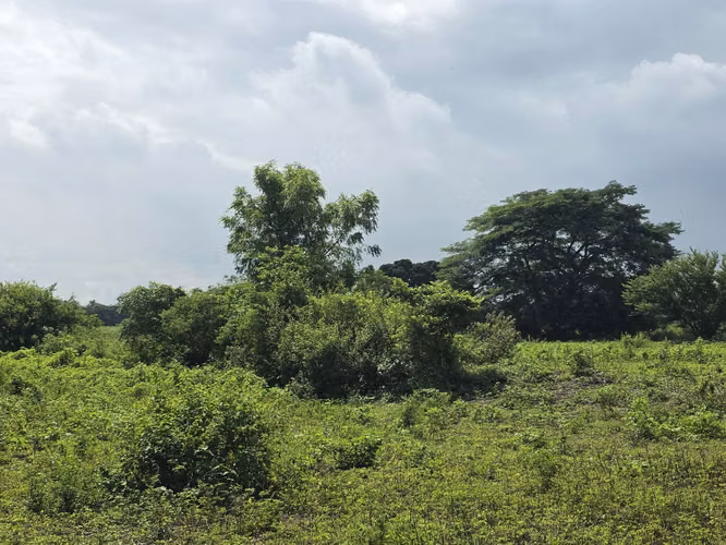 AG, SE VENDE TERRENO EN VERACRUZ - Imagen 11