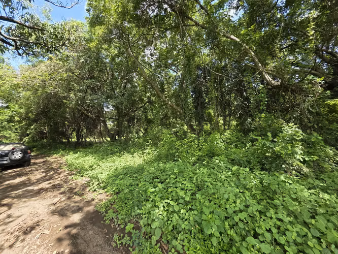 AG, SE VENDE TERRENO EN VERACRUZ - Imagen 6