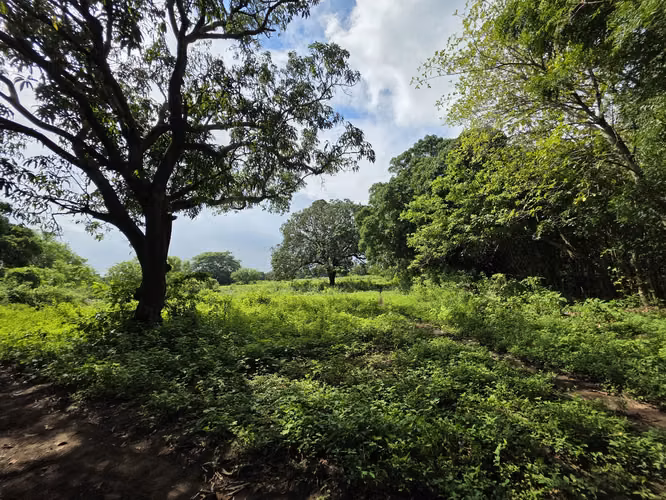 AG, SE VENDE TERRENO EN VERACRUZ - Imagen 8