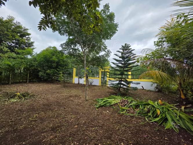 AG. SE VENDE TERRENO EN LAS PILAS EN MASAYA - Imagen 3