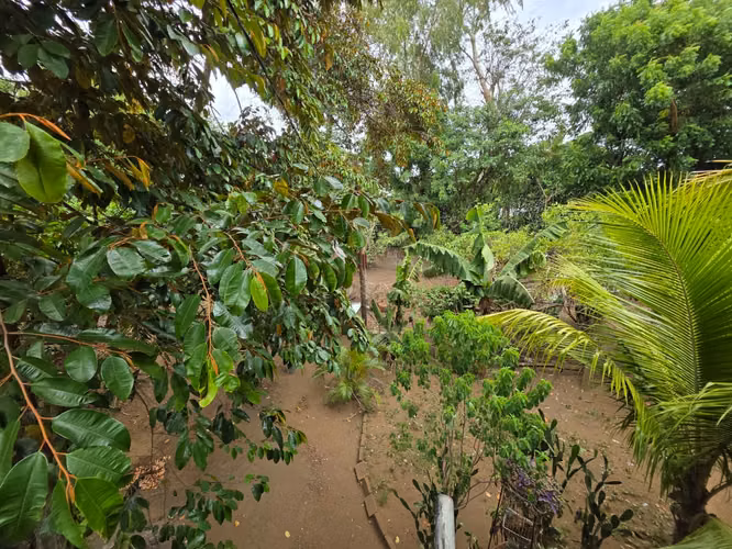 AG. SE VENDE QUINTA EN CARRETERA MASAYA KM 25 - Imagen 17