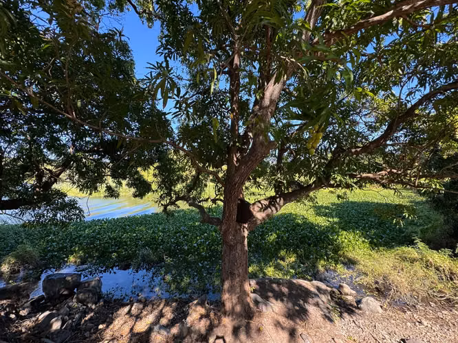 Venta de Finca en Granada - Imagen 10